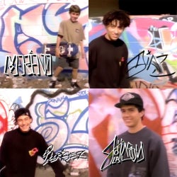 POWELL PERALTA DVD パウエルペラルタ BAN THIS 4