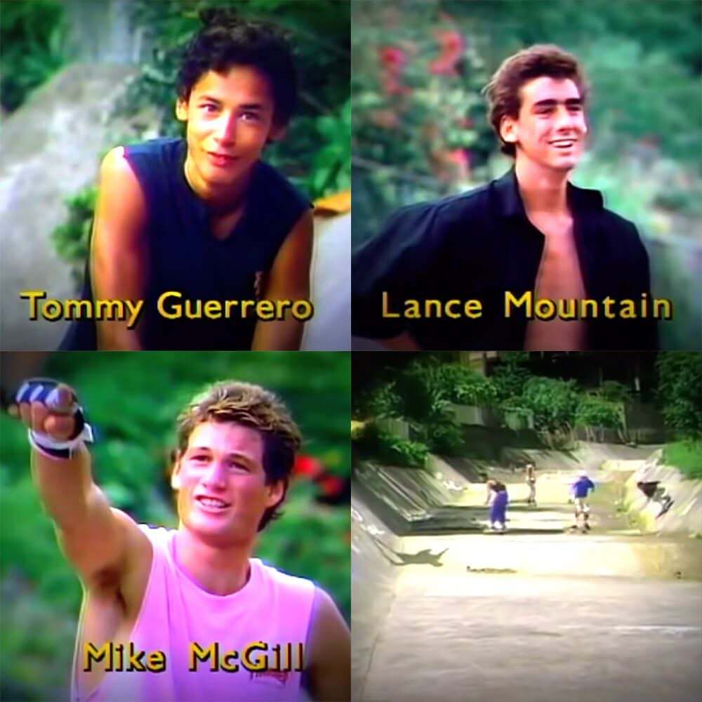 POWELL PERALTA DVD パウエルペラルタ THE SEARCH FOR ANIMAL CHIN