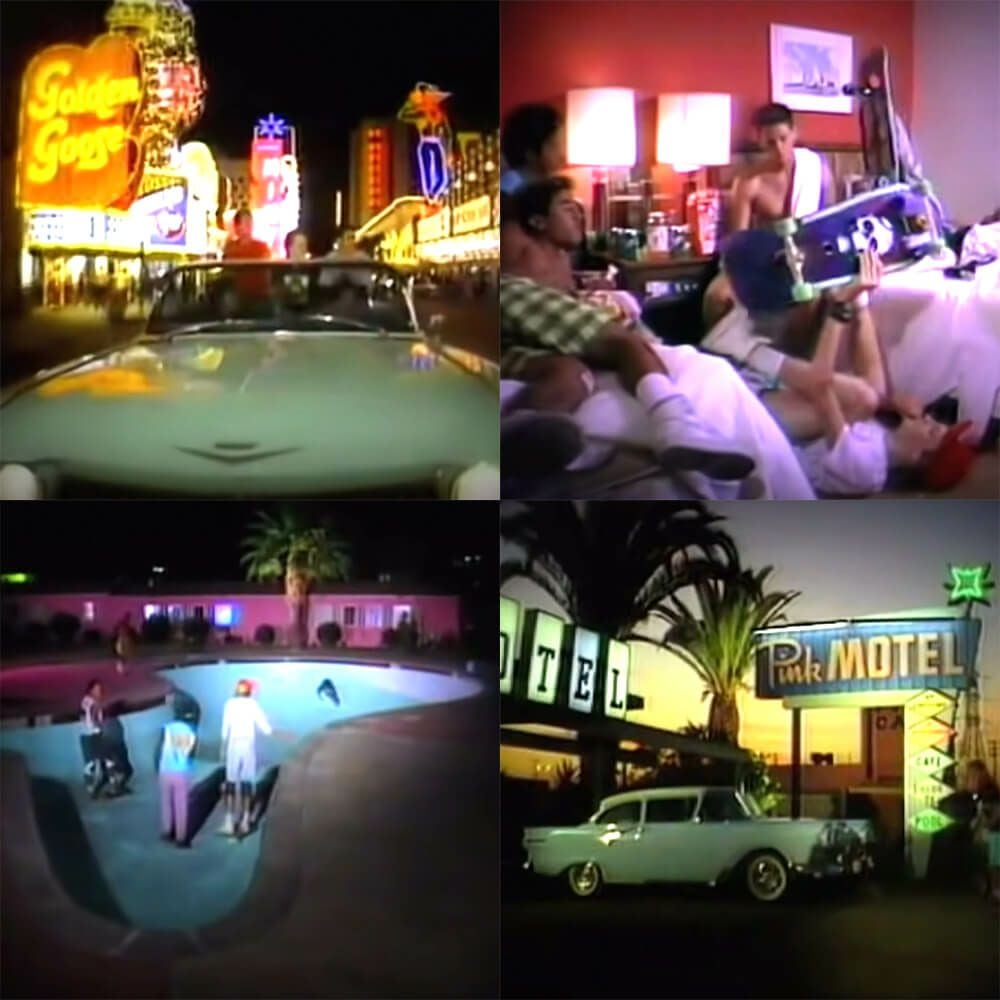 POWELL PERALTA DVD パウエルペラルタ THE SEARCH FOR ANIMAL CHIN