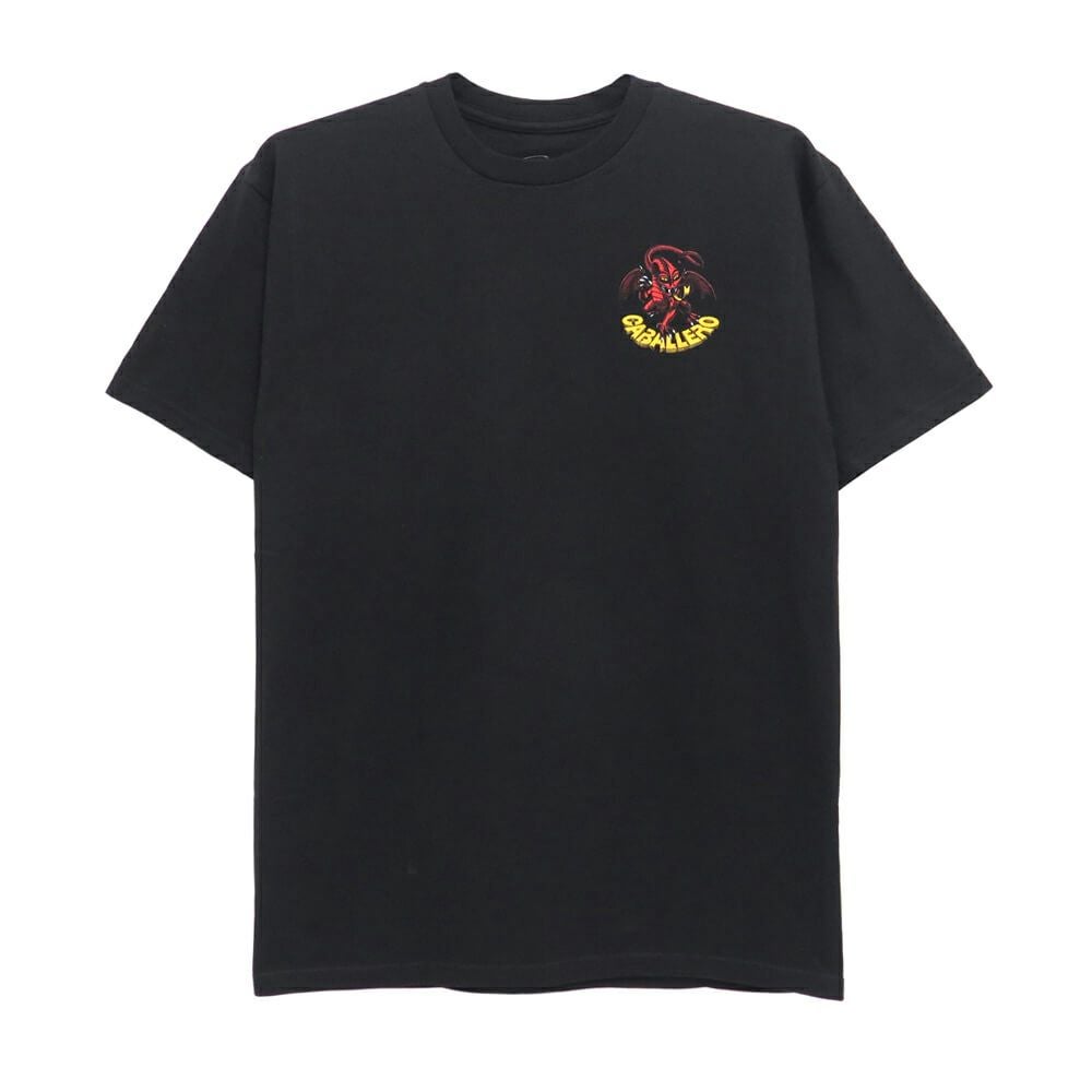POWELL PERALTA T-SHIRT パウエルペラルタ Tシャツ CABALLERO DRAGON 2