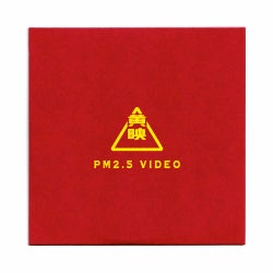 PM 2.5 DVD PARTICLE MIND スケートボード スケボー 01