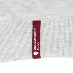 COLOR COMMUNICATIONS CREW SWEAT カラーコミュニケーションズ トレーナー DRIP EMB LETTER SPOT ASH 刺繍ロゴ スケートボード スケボー 4