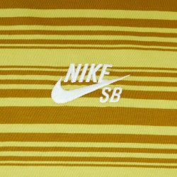 NIKE SB T-SHIRT ナイキSB Tシャツ MAX90 BRONZINE FQ3712-716 スケートボード スケボー 2