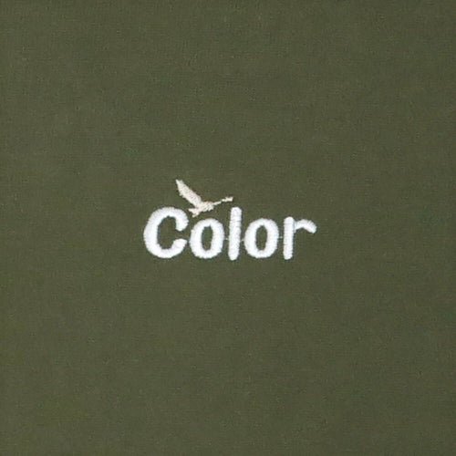 COLOR COMMUNICATIONS HOOD カラーコミュニケーションズ パーカー WAWA OWL EMB LETTER LIGHT OLIVE 刺繍ロゴ スケートボード スケボー 3