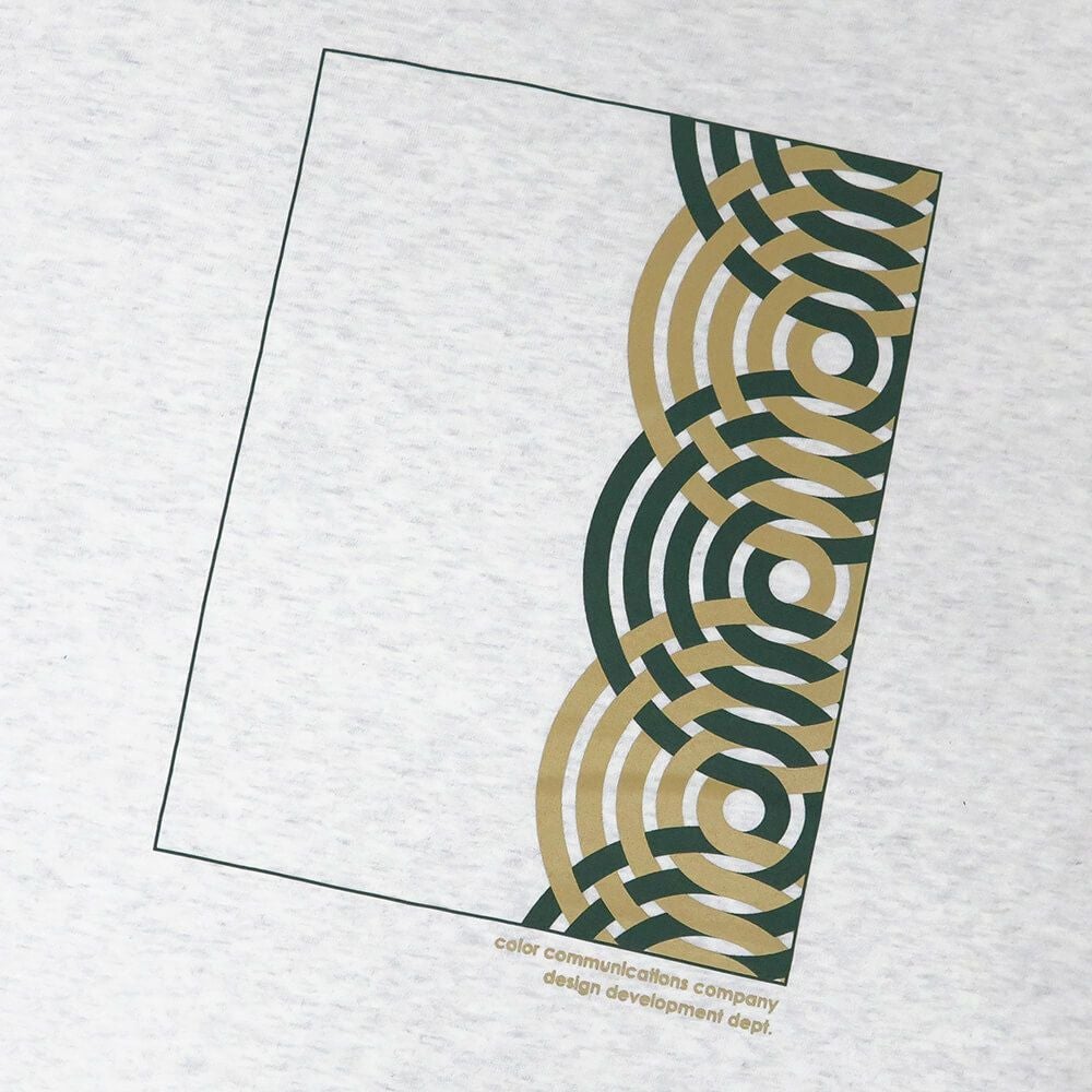 COLOR COMMUNICATIONS T-SHIRT カラーコミュニケーションズ Tシャツ RE-HALF STROKE FLAME 2011 ASH スケートボード スケボー 4