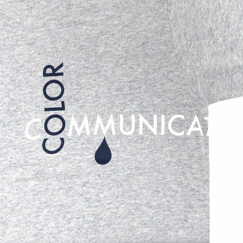 COLOR COMMUNICATIONS T-SHIRT カラーコミュニケーションズ Tシャツ RE-CROSS LETTERS 2008 GREY スケートボード スケボー 2