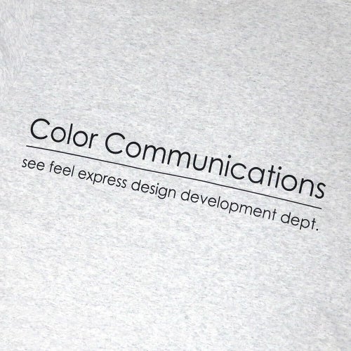 COLOR COMMUNICATIONS LONG SLEEVE カラーコミュニケーションズ ロングスリーブTシャツ RE-LETTER 2012 ASH スケートボード スケボー 3