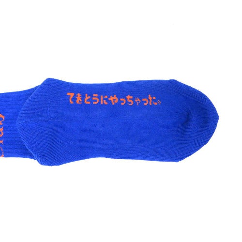 CHAOS FISHING CLUB SOCKS カオスフィッシングクラブ ソックス 靴下 1 PAC LOGO BLUE スケートボード スケボー 5