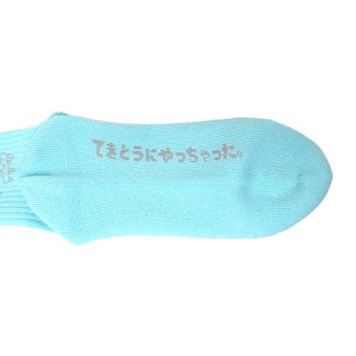 CHAOS FISHING CLUB SOCKS カオスフィッシングクラブ ソックス 靴下 1 PAC OSAKANAKUN ICE GREEN スケートボード ス5