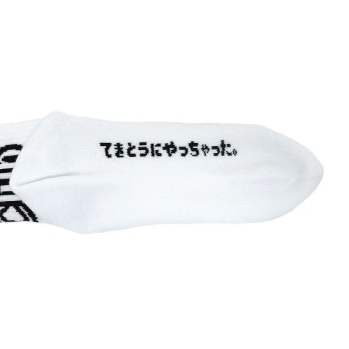 CHAOS FISHING CLUB SOCKS カオスフィッシングクラブ ソックス 靴下 1 PAC ARCH LOGO WHITE スケートボード スケボー 5
