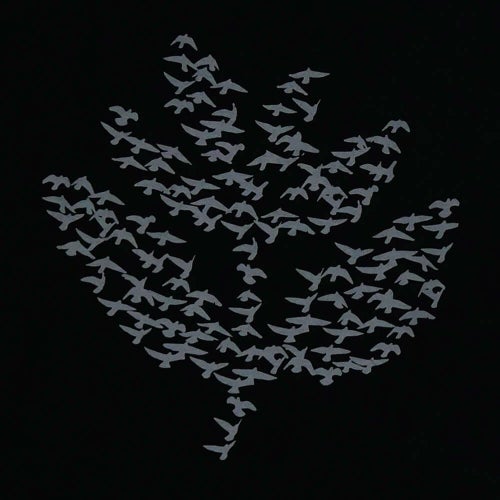 MAGENTA T-SHIRT マゼンタ Tシャツ MIGRATION BLACK スケートボード スケボー 3