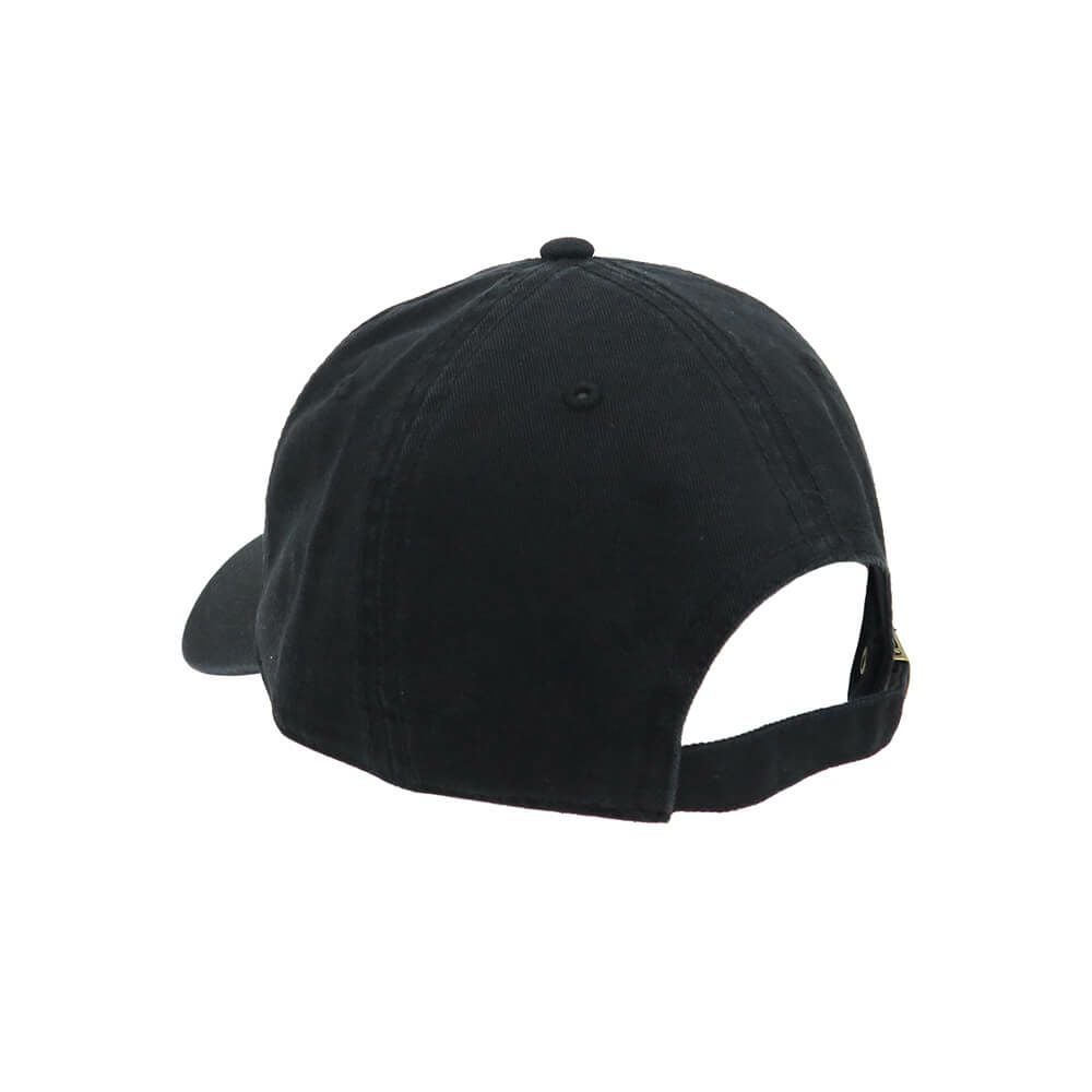 EMERICA CAP エメリカ キャップ PURE GOLD DAD BLACK/GREEN スケートボード スケボー 2