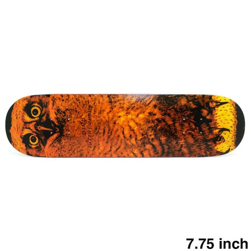 JACUZZI DECK ジャグジー デッキ MICHAEL PULIZZI HOO 7.75 EPOXY 7 スケートボード スケボー 1