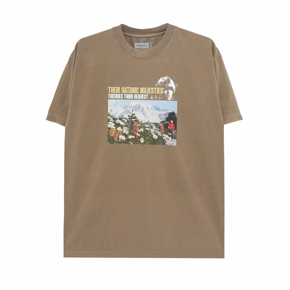  THEORIES T-SHIRT セオリーズ Tシャツ MAJESTIES GARMENT DYED WASHED BROWN スケートボード スケボー 