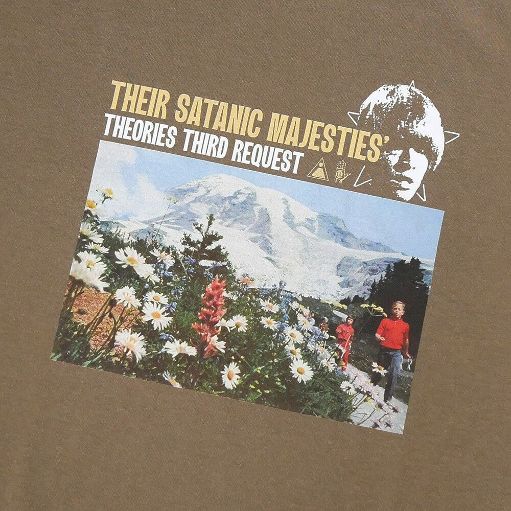  THEORIES T-SHIRT セオリーズ Tシャツ MAJESTIES GARMENT DYED WASHED BROWN スケートボード スケボー 1