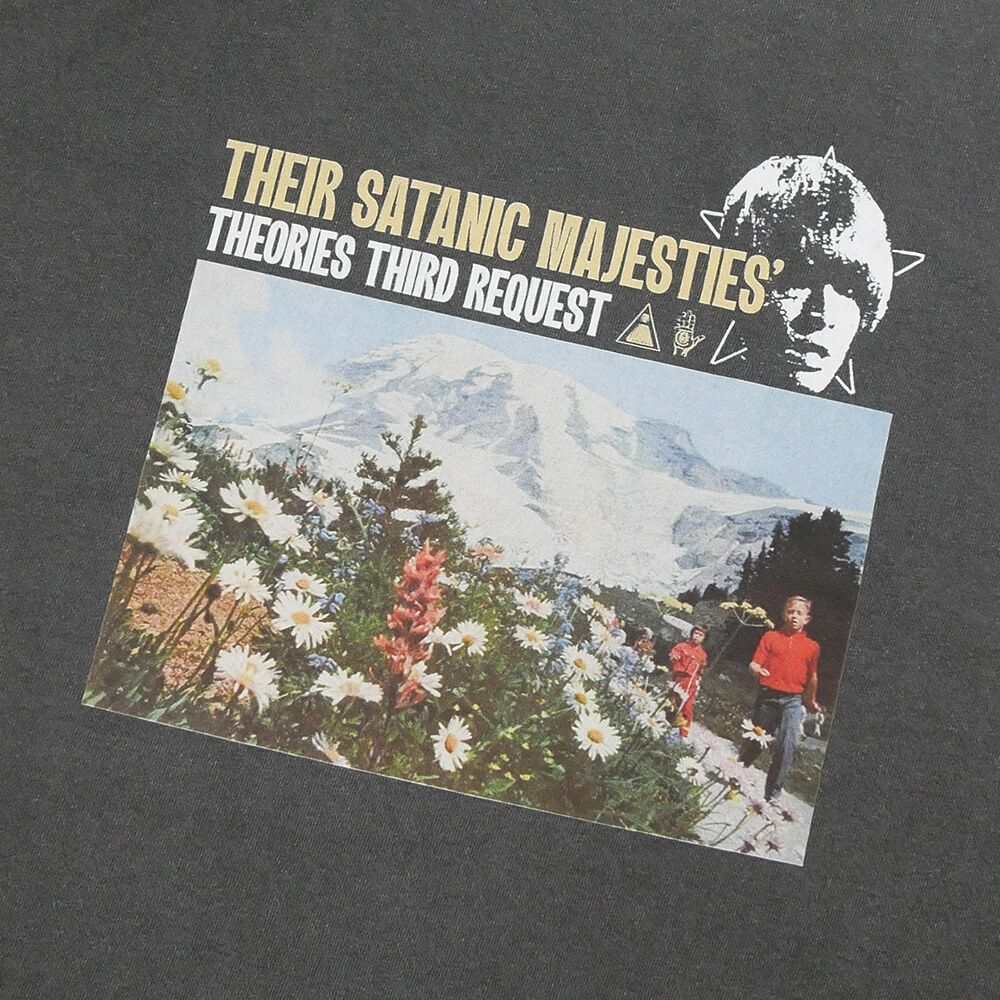 THEORIES T-SHIRT セオリーズ Tシャツ MAJESTIES GARMENT DYED WASHED BLACK スケートボード スケボー 1