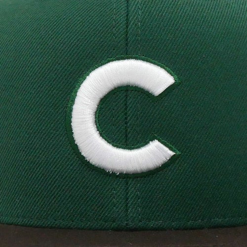 COLOR COMMUNICATIONS CAP カラーコミュニケーションズ キャップ BBC 2 TONE SNAPBACK GREEN/BROWN スケートボード スケボー 5