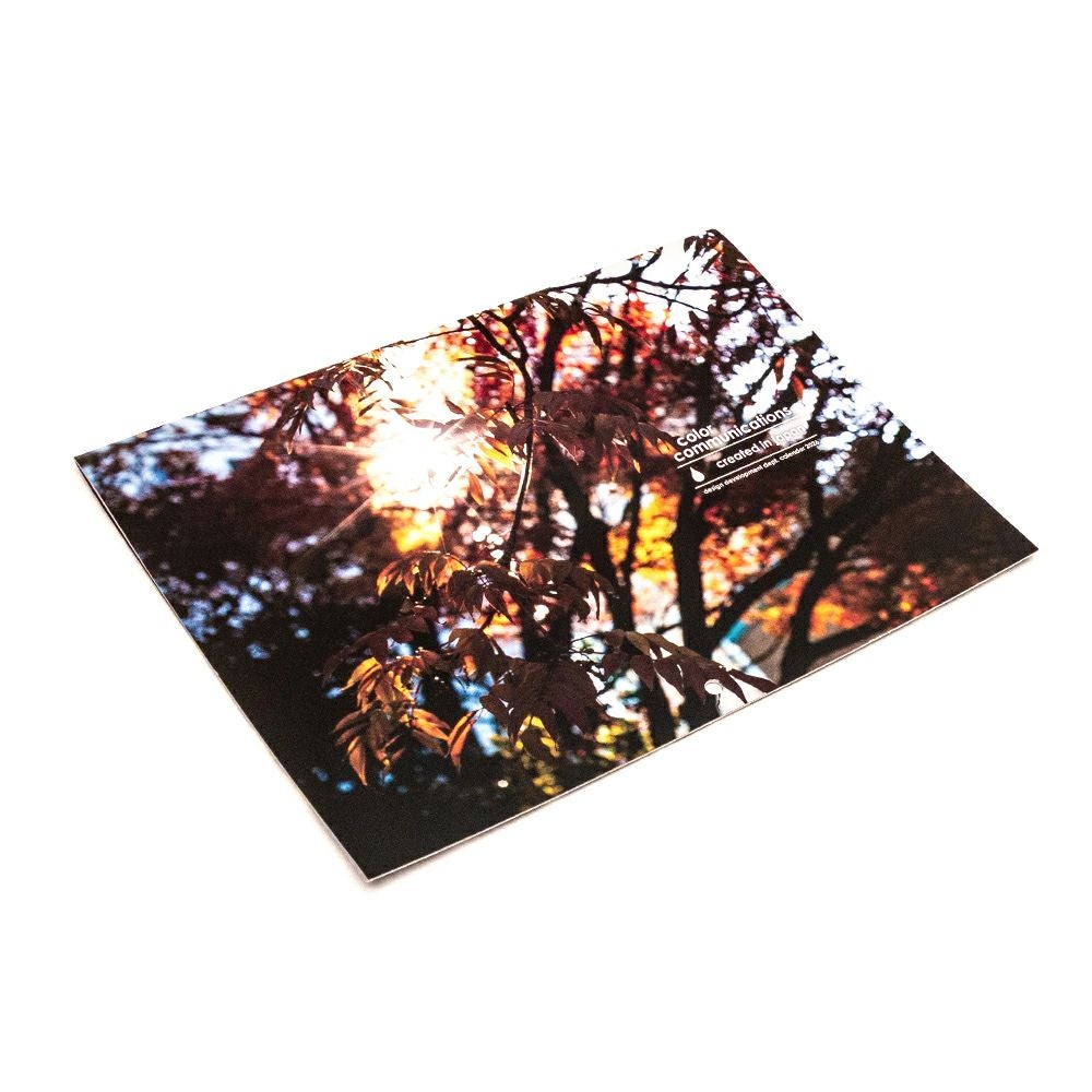 COLOR COMMUNICATIONS CALENDAR カラーコミュニケーションズ カレンダー2026 スケートボード スケボー 01