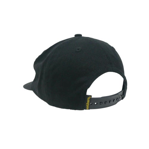 ANTIHERO CAP アンチヒーロー キャップ BASIC EAGLE SNAPBACK BLACK/GREY スケートボード スケボー 2
