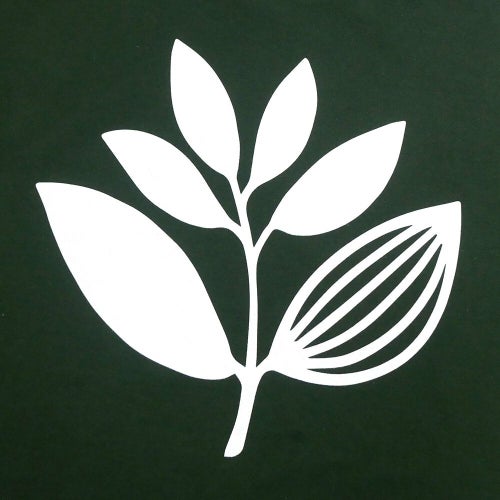 MAGENTA T-SHIRT マゼンタ Tシャツ CLASSIC PLANT GREEN スケートボード スケボー 3