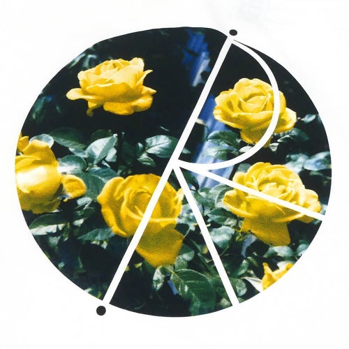 POLAR T-SHIRT ポーラー Tシャツ FILL LOGO MARTAS ROSES WHITE スケートボード スケボー 3