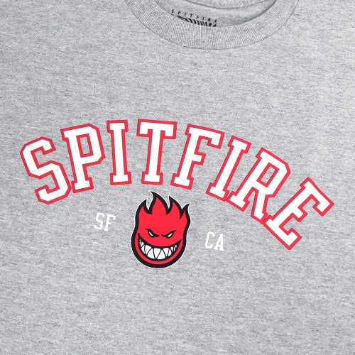 SPITFIRE LONG SLEEVE スピットファイヤー ロングスリーブTシャツ TEAM BIGHEAD GREY スケートボード スケボー 1