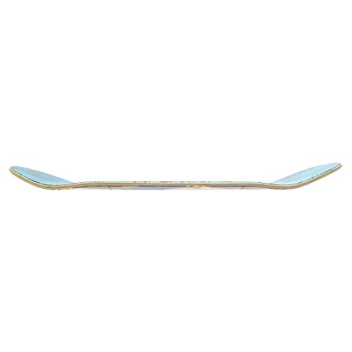 SANTA CRUZ DECK サンタクルーズ デッキ TEAM POSSESSED HEAD 8.5 FEELBASE スケートボード スケボー 2