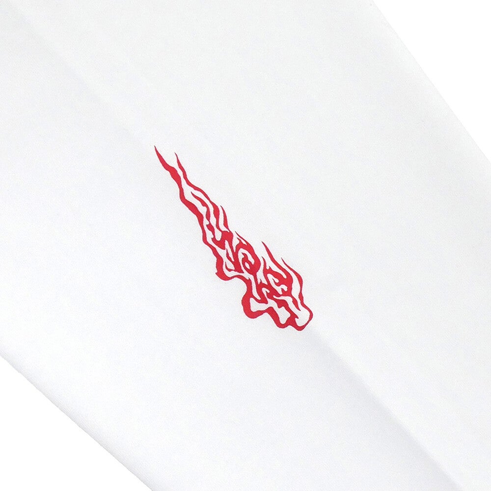 EVISEN LONG SLEEVE エビセン ロングスリーブTシャツ BASTERD WHITE スケートボード スケボー 5