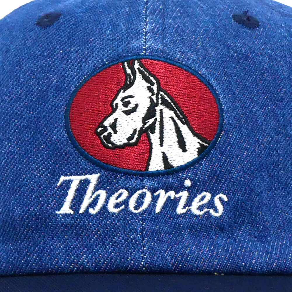 THEORIES CAP セオリーズ キャップ CHAMP STRAPBACK DENIM BLUE スケートボード スケボー 4