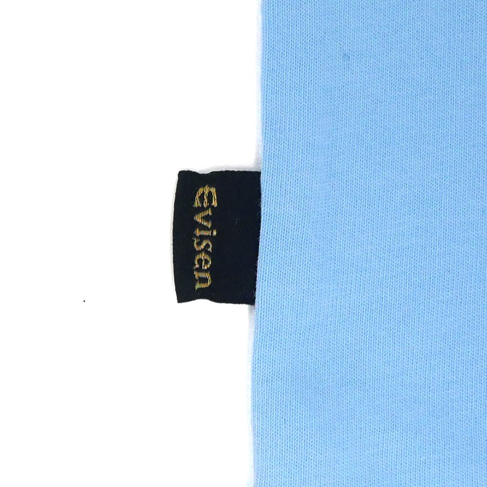 EVISEN T-SHIRT エビセン Tシャツ COMING BLUE スケートボード スケボー 2