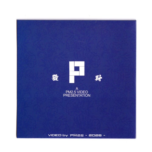 PM 2.5 DVD PARTICLE MIND 2 スケートボード スケボー 01