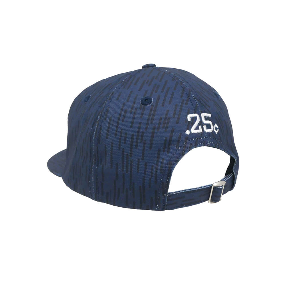 QUARTERSNACKS CAP クウォータースナックス キャップ ARCH RAINDROP NAVY スケートボード スケボー 2