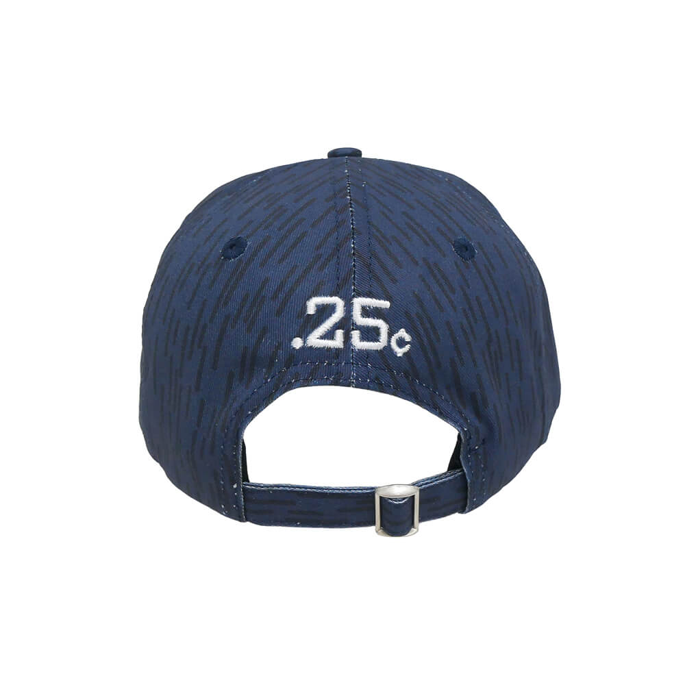 QUARTERSNACKS CAP クウォータースナックス キャップ ARCH RAINDROP NAVY スケートボード スケボー 3