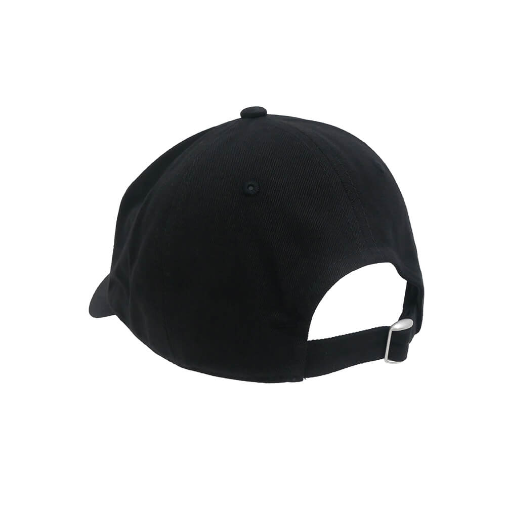 LAST RESORT AB CAP ラストリゾートエービー キャップ CHERRIES DADDY BLACK スケートボード スケボー 2