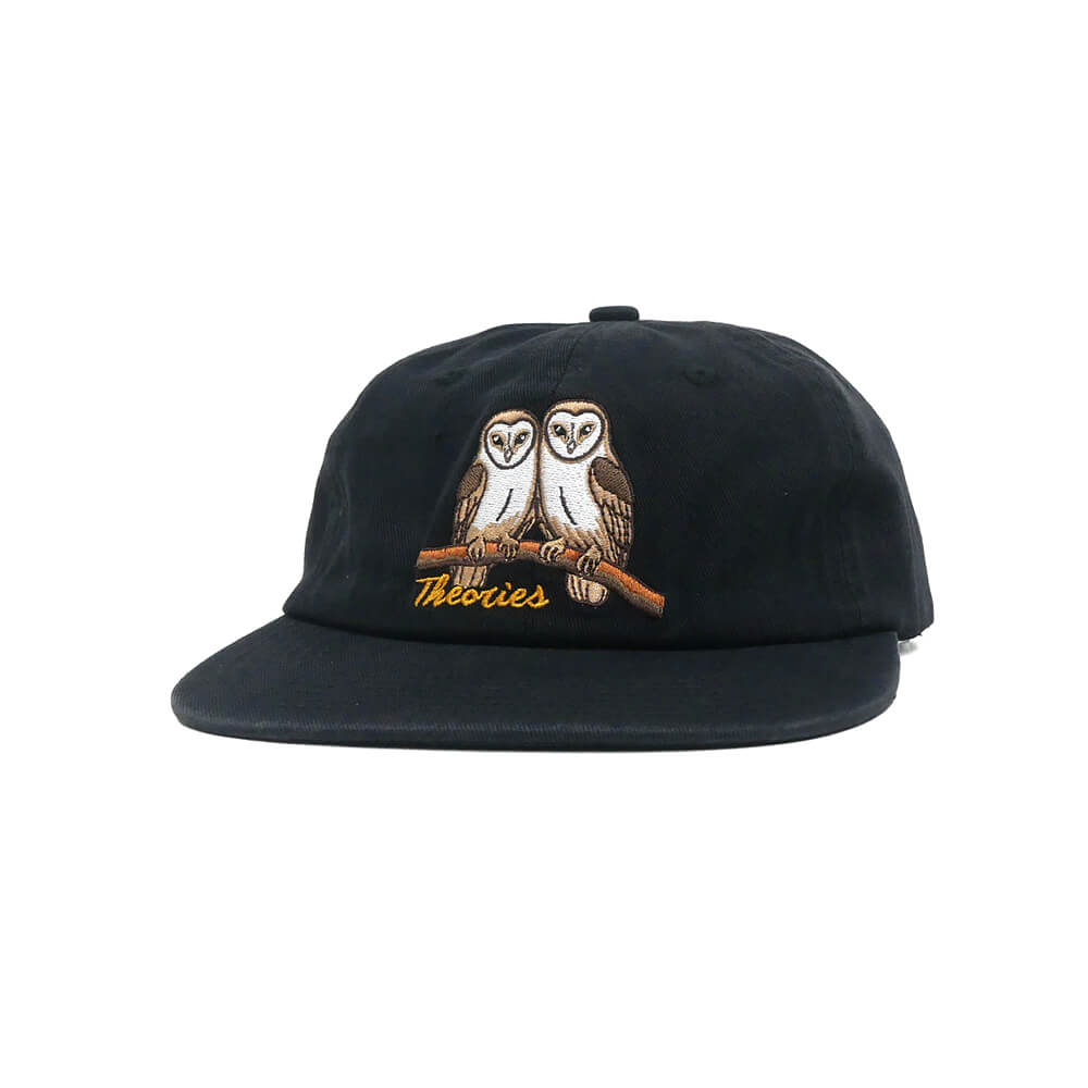 THEORIES CAP セオリーズ キャップ NOT WHAT THEY SEEM STRAPBACK BLACK スケートボード スケボー 