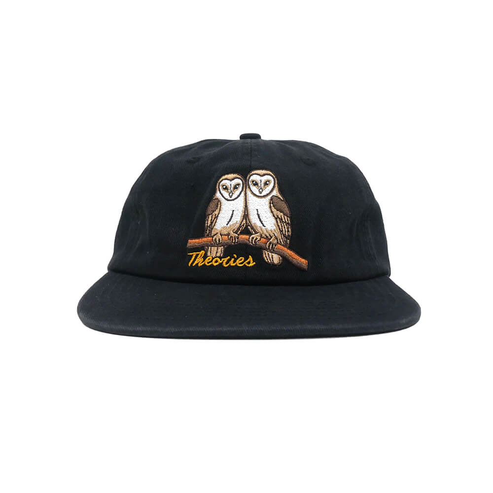 THEORIES CAP セオリーズ キャップ NOT WHAT THEY SEEM STRAPBACK BLACK スケートボード スケボー 1