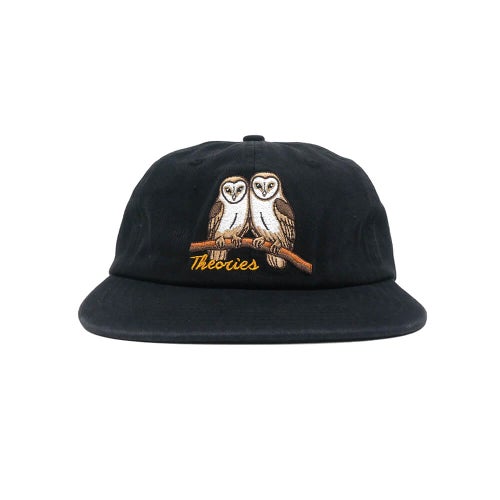 THEORIES CAP セオリーズ キャップ NOT WHAT THEY SEEM STRAPBACK BLACK スケートボード スケボー 1