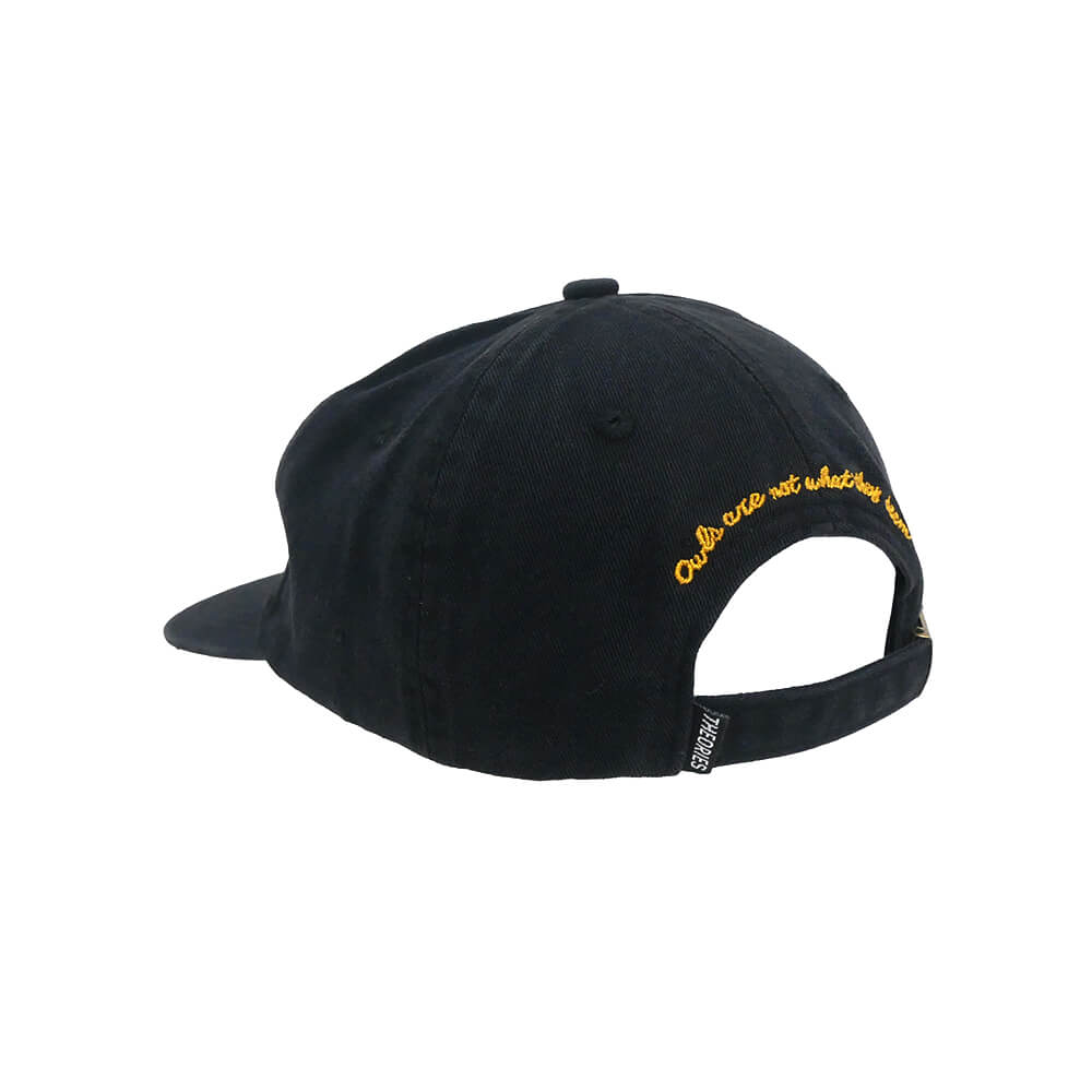 THEORIES CAP セオリーズ キャップ NOT WHAT THEY SEEM STRAPBACK BLACK スケートボード スケボー 2