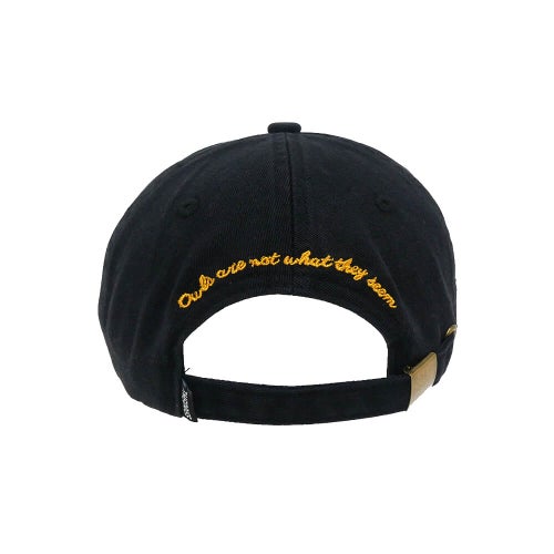 THEORIES CAP セオリーズ キャップ NOT WHAT THEY SEEM STRAPBACK BLACK スケートボード スケボー 3