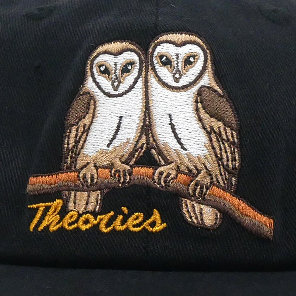 THEORIES CAP セオリーズ キャップ NOT WHAT THEY SEEM STRAPBACK BLACK スケートボード スケボー 5