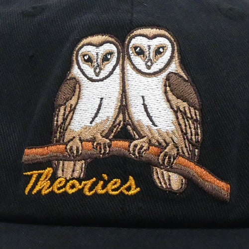 THEORIES CAP セオリーズ キャップ NOT WHAT THEY SEEM STRAPBACK BLACK スケートボード スケボー 5
