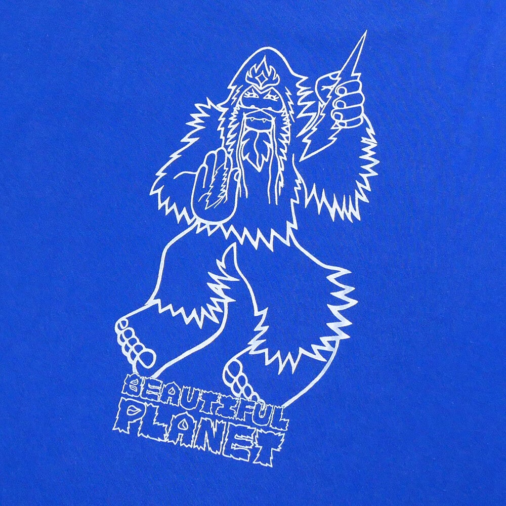 BEAUTIFUL PLANET T-SHIRT ビューティフルプラネット Tシャツ BIG FOOT WASHED PURPLE スケートボード スケボー 4