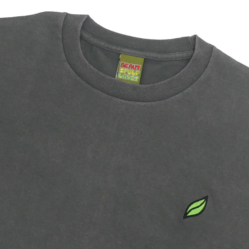 BEAUTIFUL PLANET T-SHIRT ビューティフルプラネット Tシャツ MATT RODRIGUEZ WASHED CHARCOAL スケートボード スケボー 2