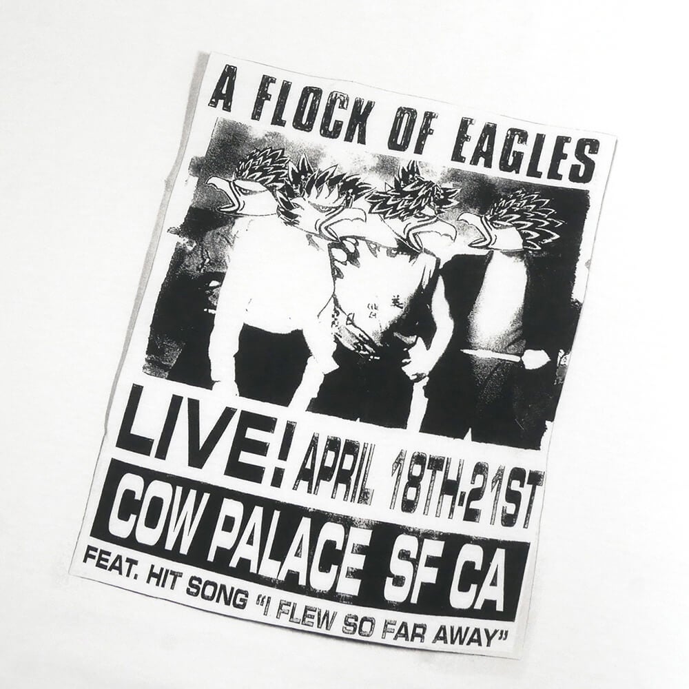 ANTIHERO T-SHIRT アンチヒーロー Tシャツ FLOCK OF EAGLES RINGSPAN WHITE スケートボード スケボー 1