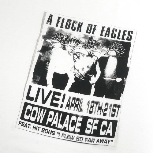 ANTIHERO T-SHIRT アンチヒーロー Tシャツ FLOCK OF EAGLES RINGSPAN WHITE スケートボード スケボー 1