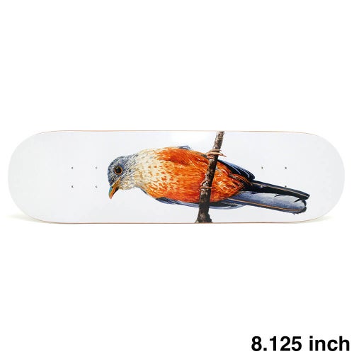 DEATHWISH DECK デスウィッシュ デッキ YURI FACCHINI SABIA-LARANJEIRA 8.125 スケートボード スケボー 1