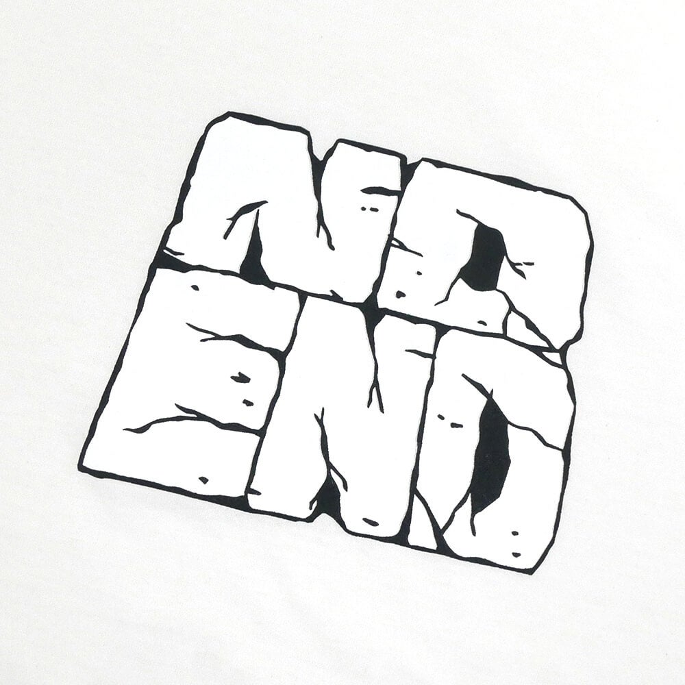 NO END T-SHIRT ノーエンド Tシャツ LOGO WHITE スケートボード スケボー 1