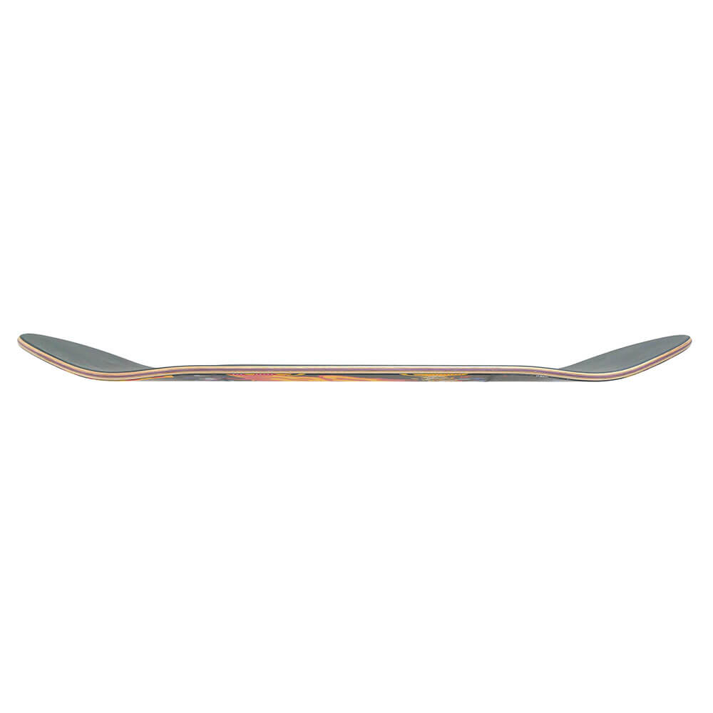 SANTA CRUZ DECK サンタクルーズ デッキ TOM ASTA COSMIC CAT 8.2 TWIN スケートボード スケボー 2