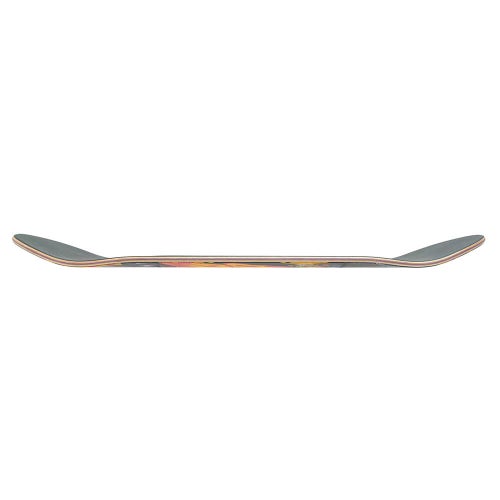 SANTA CRUZ DECK サンタクルーズ デッキ TOM ASTA COSMIC CAT 8.2 TWIN スケートボード スケボー 2