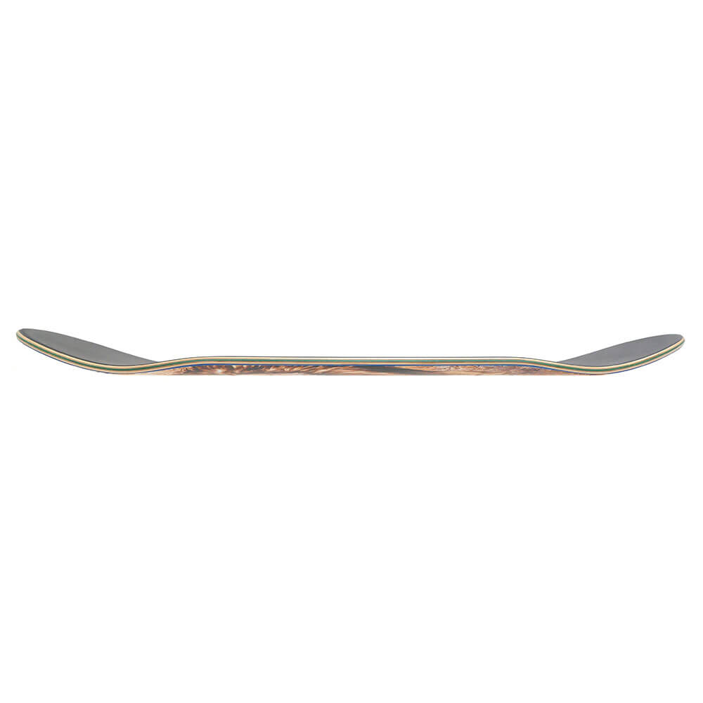 ZERO DECK ゼロ デッキ TOMMY SANDOVAL REALTREE LION 8.25 スケートボード スケボー 2